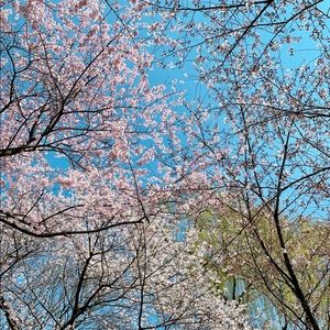 Meet your Posher, Samuel